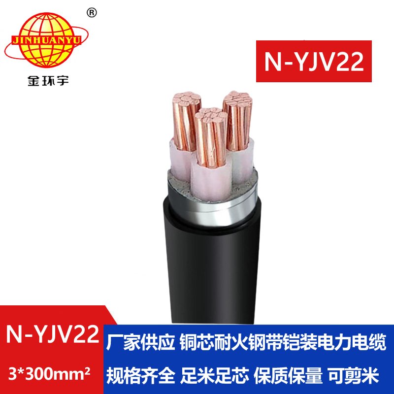 金環(huán)宇電線電纜 銅芯低壓交聯(lián)鎧裝電纜N-YJV22-3